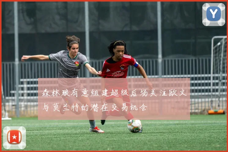 森林狼有意组建超级后场关注欧文与莫兰特的潜在交易机会