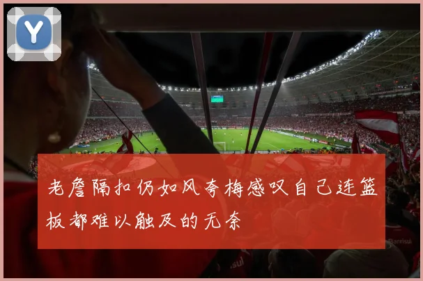 老詹隔扣仍如风夸梅感叹自己连篮板都难以触及的无奈