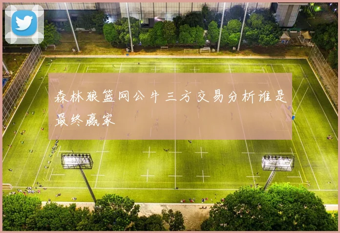 森林狼篮网公牛三方交易分析谁是最终赢家