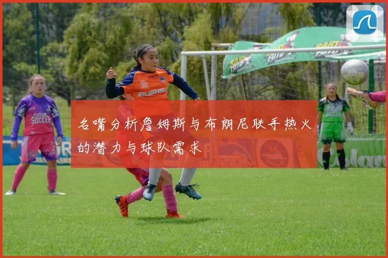 名嘴分析詹姆斯与布朗尼联手热火的潜力与球队需求