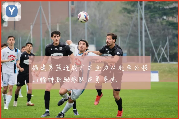 福建男篮迎战广东全力以赴鱼公移山精神激励球队奋勇争先
