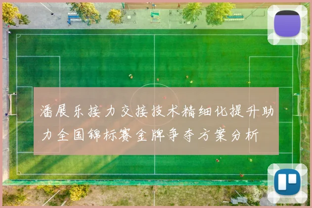 潘展乐接力交接技术精细化提升助力全国锦标赛金牌争夺方案分析
